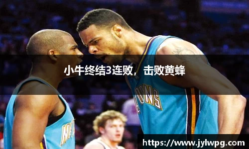 小牛终结3连败，击败黄蜂